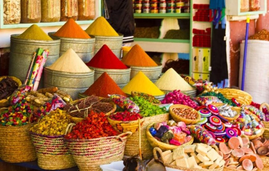 Voyage privée d’une journée à Marrakech depuis Casablanca